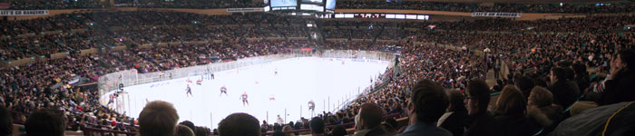MSG