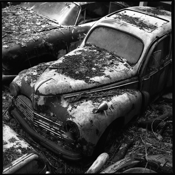 autofriedhof