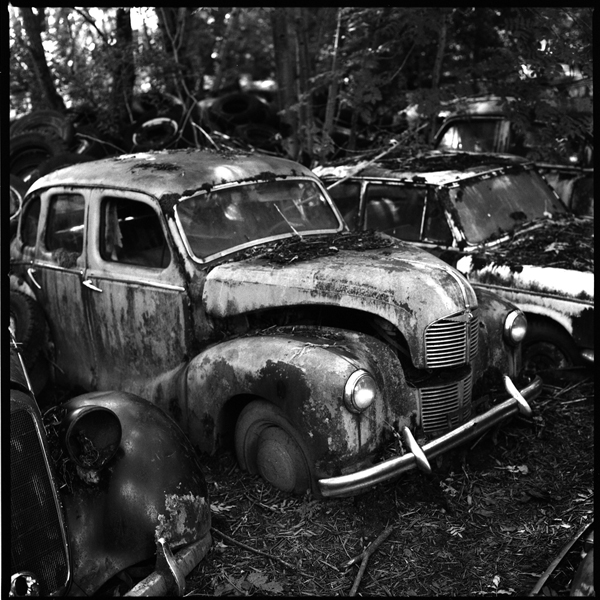 autofriedhof