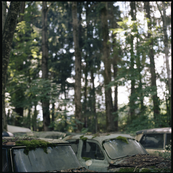 autofriedhof
