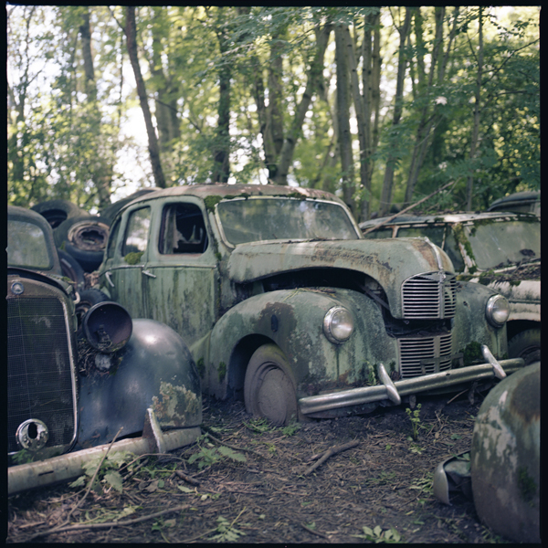 autofriedhof