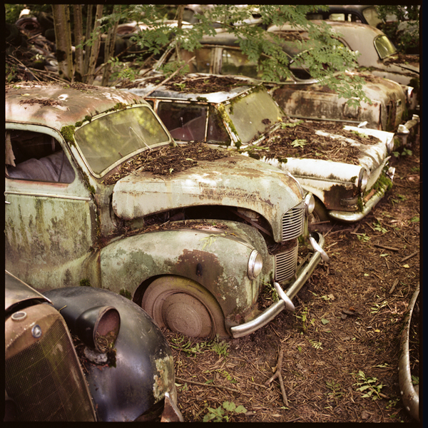 autofriedhof