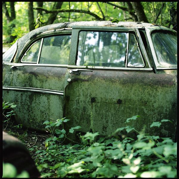 autofriedhof