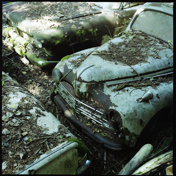 autofriedhof